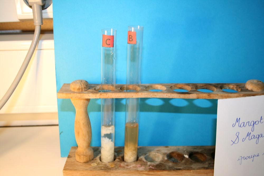 gal/LES_CINQUIEMES/ACTIVITE DIGESTION IN VITRO/Groupe_02/Groupe02_T_00h00min/Groupe02_temps__H__min_10.jpg